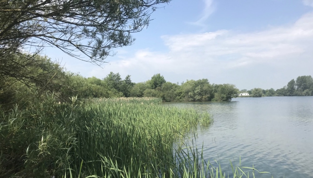 Ellerton Lake